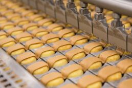 Peanut Butter Kandy Kakes on production line of Tastykake plant in Philadelphia, PA by Florida industrial manufacturing photographer Carver Mostardi.