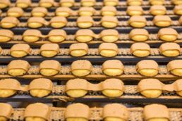 Rows of yellow peanut butter Kandy Kakes produced at the Tastykake snack food processing plant in Philadelphia, PA.