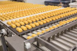 Butterscotch Krimpets coming down food production line at the Tastykake Headquarters in Philadelphia, Pennsylvania.